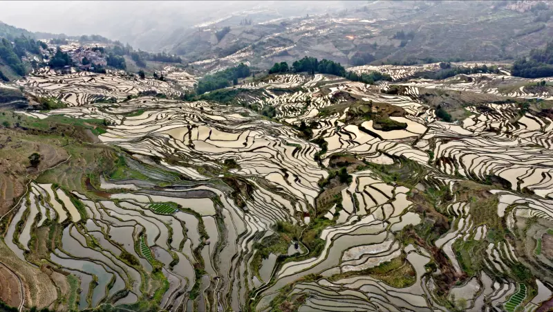 华中地区冬季电热毯市场消费趋势与选购要点分析